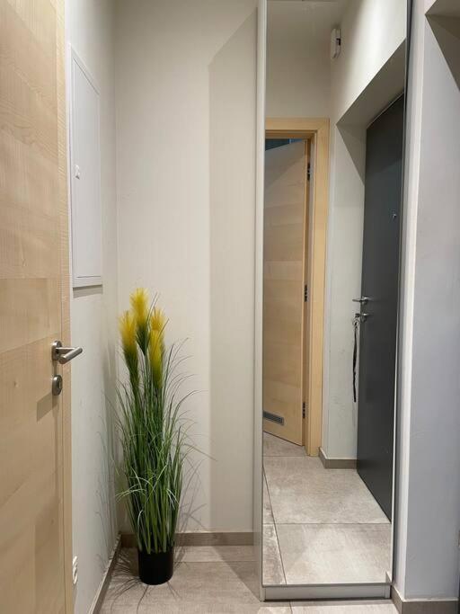 Gartenwohnung Mit Terrasse Und Parkplatz 格拉茨 外观 照片